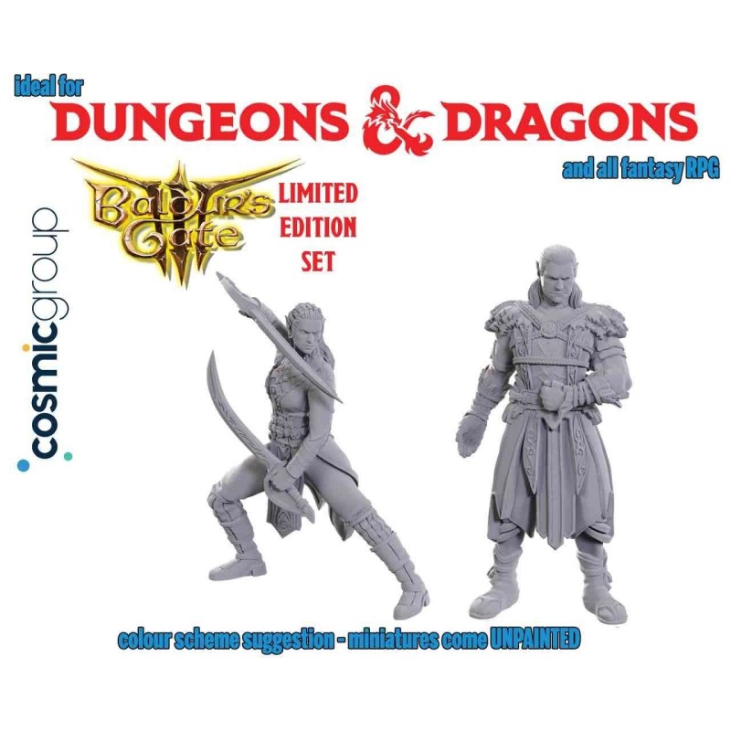 Dungeons & Dragons - Nolzur Marvelous Miniatures - Special Edition Baldur Gate 3 — Jaheira & Halsin