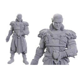 Dungeons & Dragons - Nolzur Marvelous Miniatures - Special Edition Baldur Gate 3 — Jaheira & Halsin