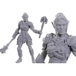 Dungeons & Dragons - Nolzur Marvelous Miniatures - Special Edition Baldur Gate 3 — Dame Aylin & Minthara