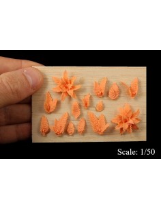 Felci forestali (da 32mm a...