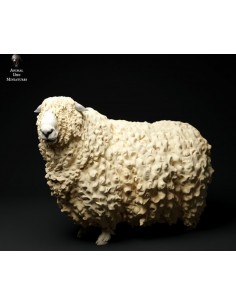 Pecora (da 32mm a 75mm)