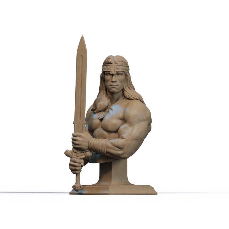 BARBARIAN BUST ( diverse scale )