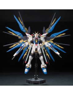 Rg Gundam Strike Freedom... 2