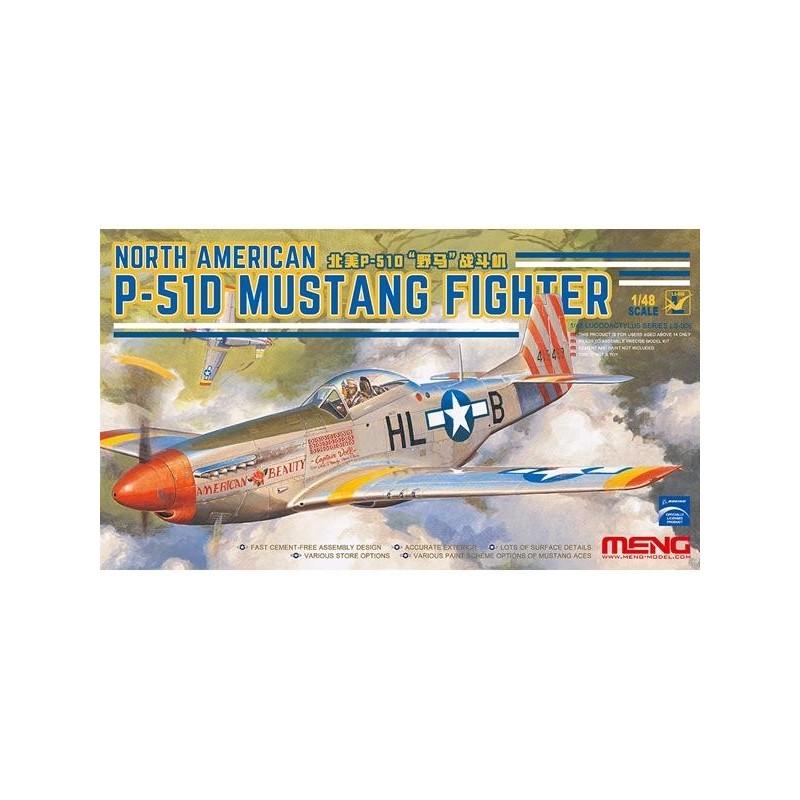 NORTH AMERICAN P-51D MUSTANG FIGHTER