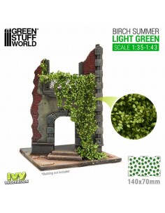 Edera in miniatura -... 2