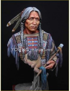 Sioux Indian (1/10)