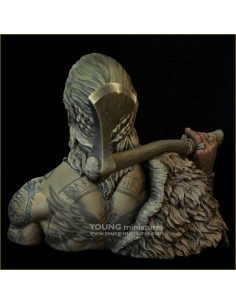 The Birka Viking Warrior... 2