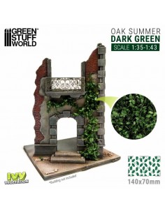 Edera in miniatura -...