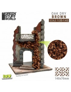 Edera in miniatura -...