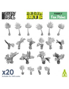 Palme piccole (12670)