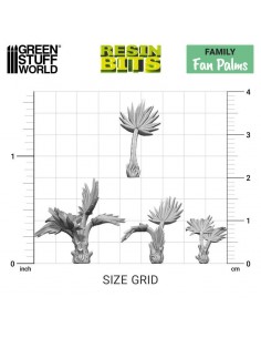 Palme piccole (12670) 2