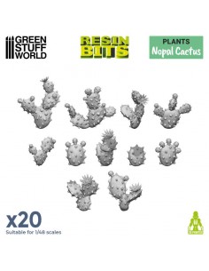 Set stampato in 3D - Cactus...