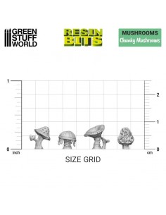 Funghi Grossi (11621) 2