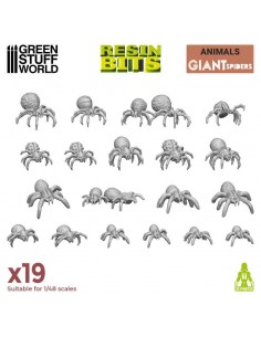 Ragni grandi (12297)