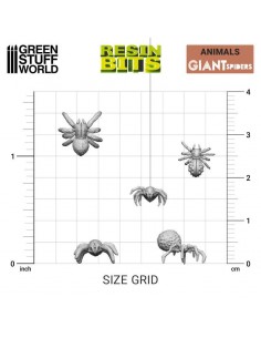 Ragni grandi (12297) 2