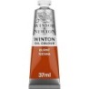 Winton oil colour - terra di siena bruciata