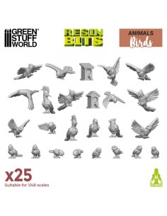 Uccelli selvatici (12305)