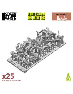 Uccelli selvatici (12305) 2