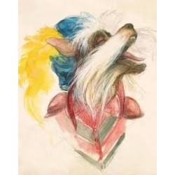 Jim Henson's Labyrinth Bestiario