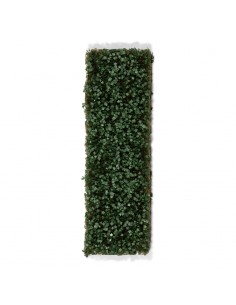 IVY FOLIAGE 2