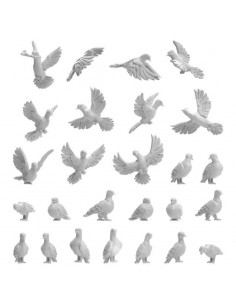 Piccioni 1:48-1:35 (13642)