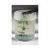 Gel trasparente protettivo per foglie e piante 250ml