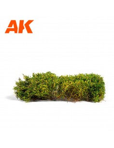 BLOMMING YELLOW SHRUBBERIES... 2