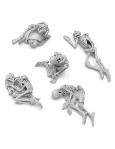 Scheletri umani 1:35 (12742)