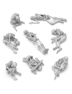 Scheletri umani 1:48 (12732)