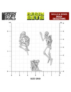 Scheletri umani 1:48 (12732) 2