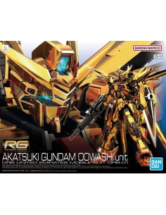 Rg gundam akatsuki gundam...