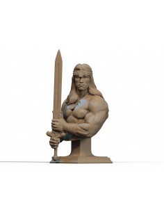 BARBARIAN BUST  ( diverse...