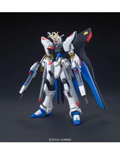Hg Gundam Strike Freedom... 2