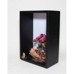 Box diorama con sfondo estraibile