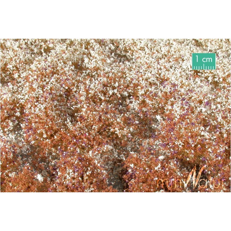 (726-34) Prato fiorito