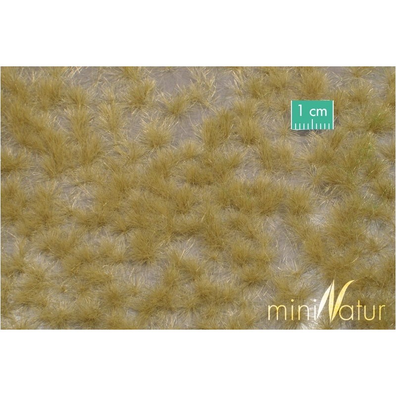 (727-24) Long tufts