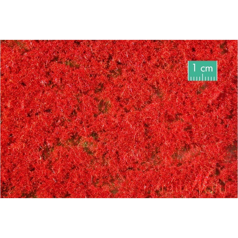 (791-27) Groundcover red