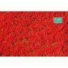 (791-27) Groundcover red