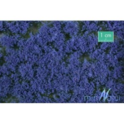 (791-29) Groundcover blue