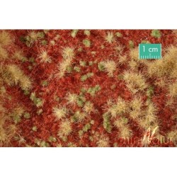 (741-34) Overgrown forest groundcover, late fall