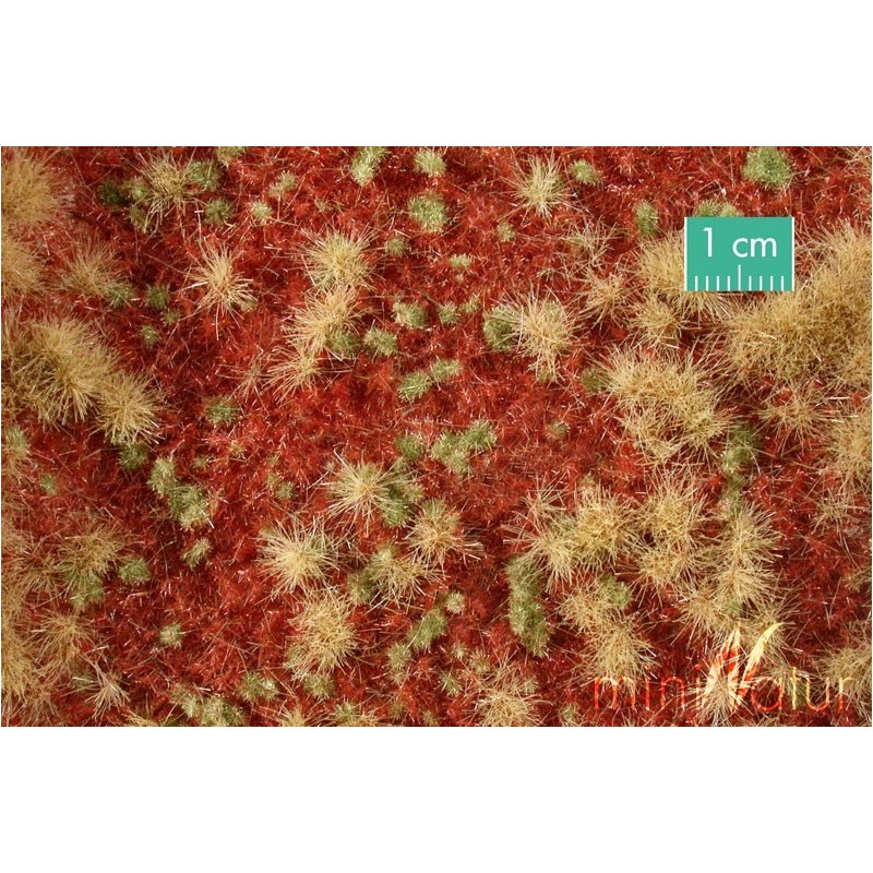 (741-34) Overgrown forest groundcover, late fall