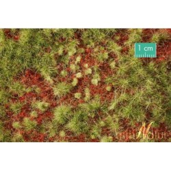 (741-33) Overgrow forest groundcover, early fall
