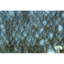 (973-26) Green spruce weathered