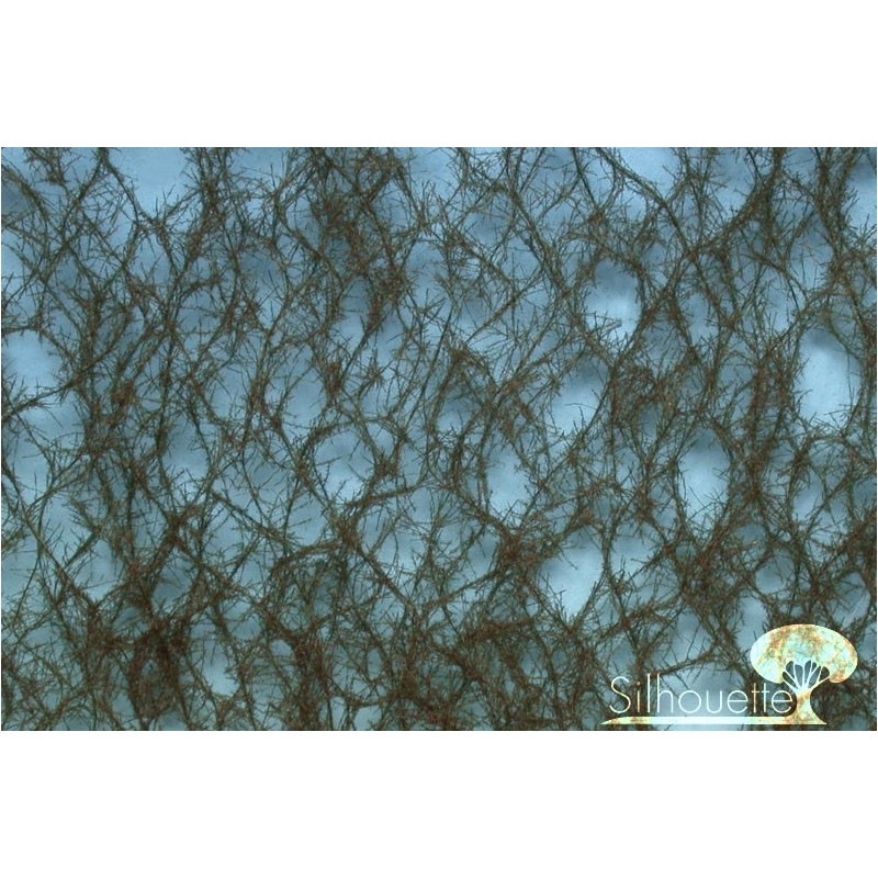 (973-26) Green spruce weathered