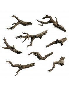 Rami di alberi spezzati...