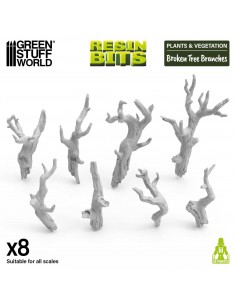 Rami di alberi spezzati... 2