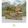 SET ENVIRONMENTS SPRING