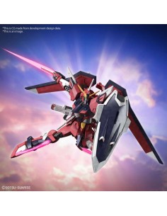 Hg Gundam Immortal Justice... 2