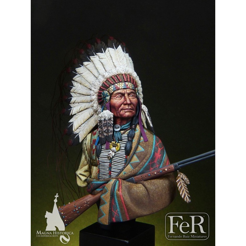 Sioux Chief Little Big Horn, 1876 (1/12)