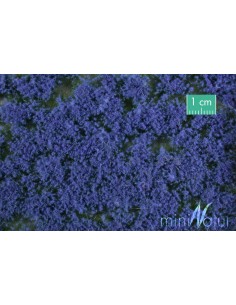 (791-29) Groundcover blue